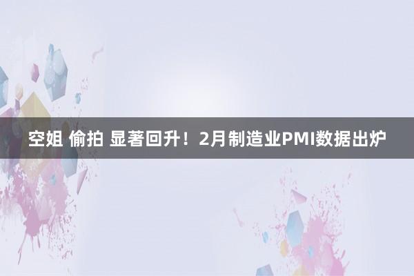 空姐 偷拍 显著回升！2月制造业PMI数据出炉