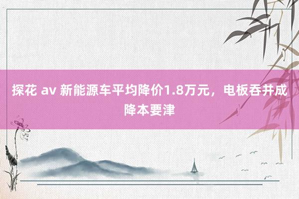 探花 av 新能源车平均降价1.8万元，电板吞并成降本要津