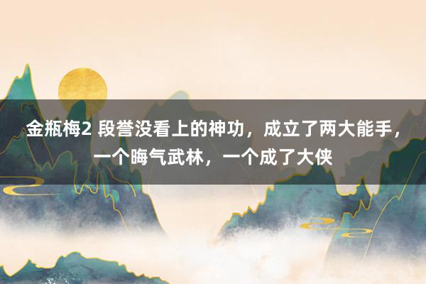 金瓶梅2 段誉没看上的神功，成立了两大能手，一个晦气武林，一个成了大侠
