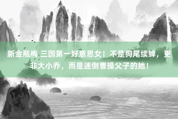 新金瓶梅 三国第一好意思女！不是狗尾续蝉，更非大小乔，而是迷倒曹操父子的她！
