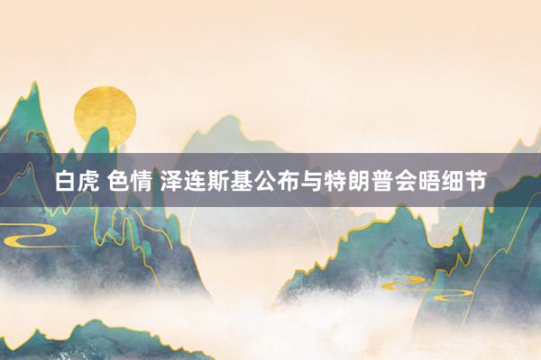 白虎 色情 泽连斯基公布与特朗普会晤细节