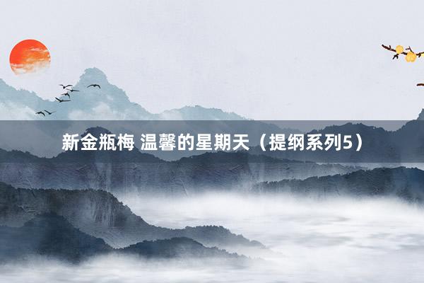 新金瓶梅 温馨的星期天（提纲系列5）