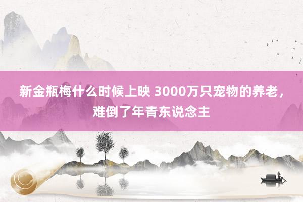 新金瓶梅什么时候上映 3000万只宠物的养老，难倒了年青东说念主