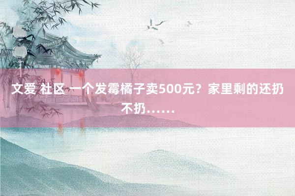 文爱 社区 一个发霉橘子卖500元？家里剩的还扔不扔……